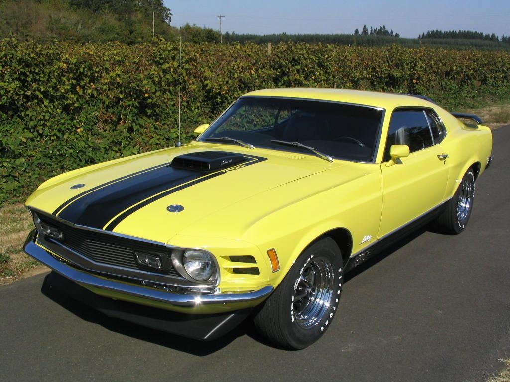 Ford Cobra 1970