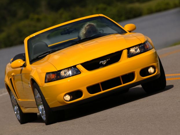 Ford Cobra 2004