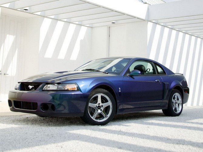 Ford Cobra 2004