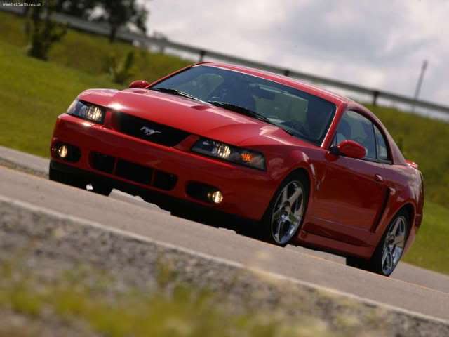 Ford Cobra 2004