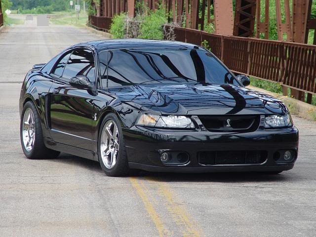Ford Cobra 2004