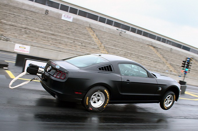 Ford Cobra 2014