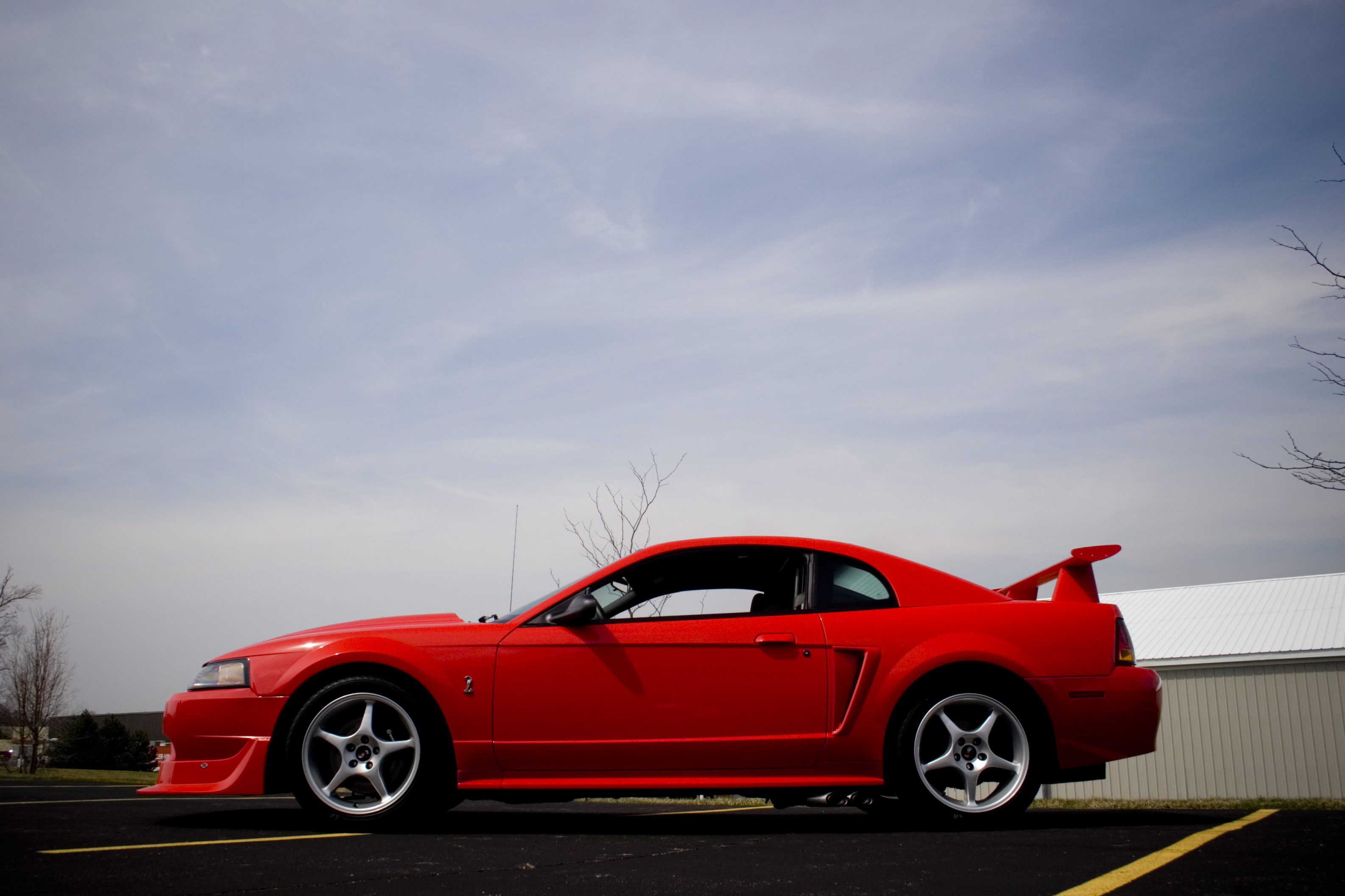 Ford Cobra R