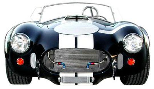 Ford Cobra Replica Kit