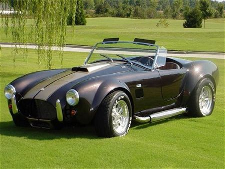 Ford Cobra Replica Kit