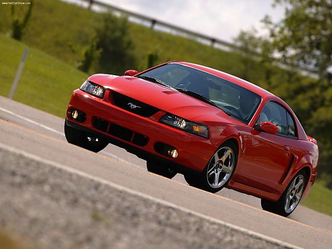 Ford Cobra Svt