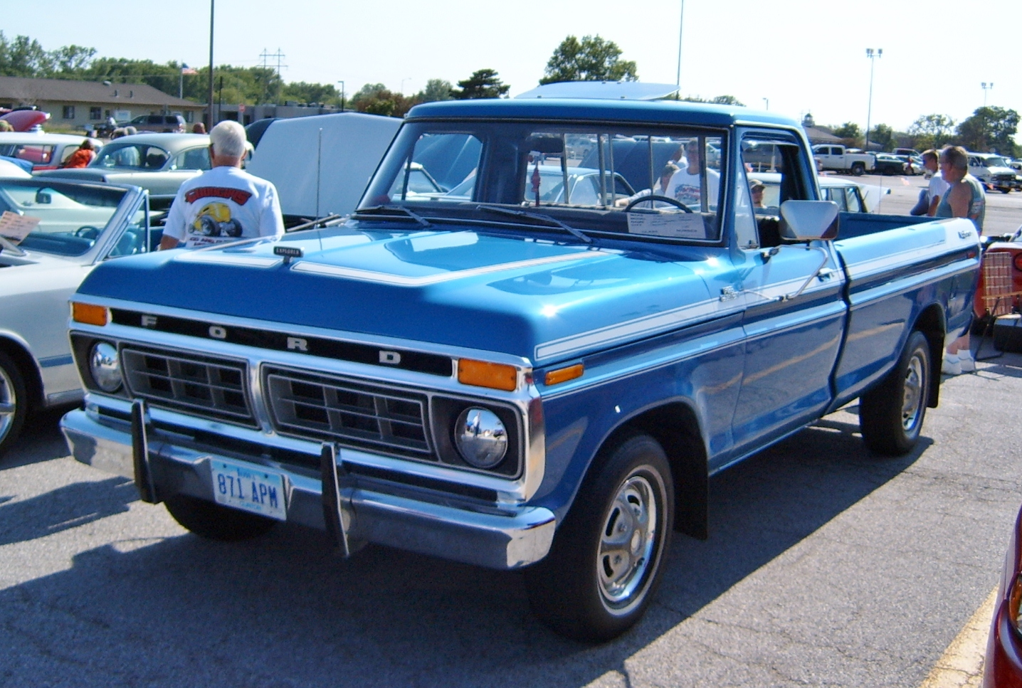 Ford Custom F100