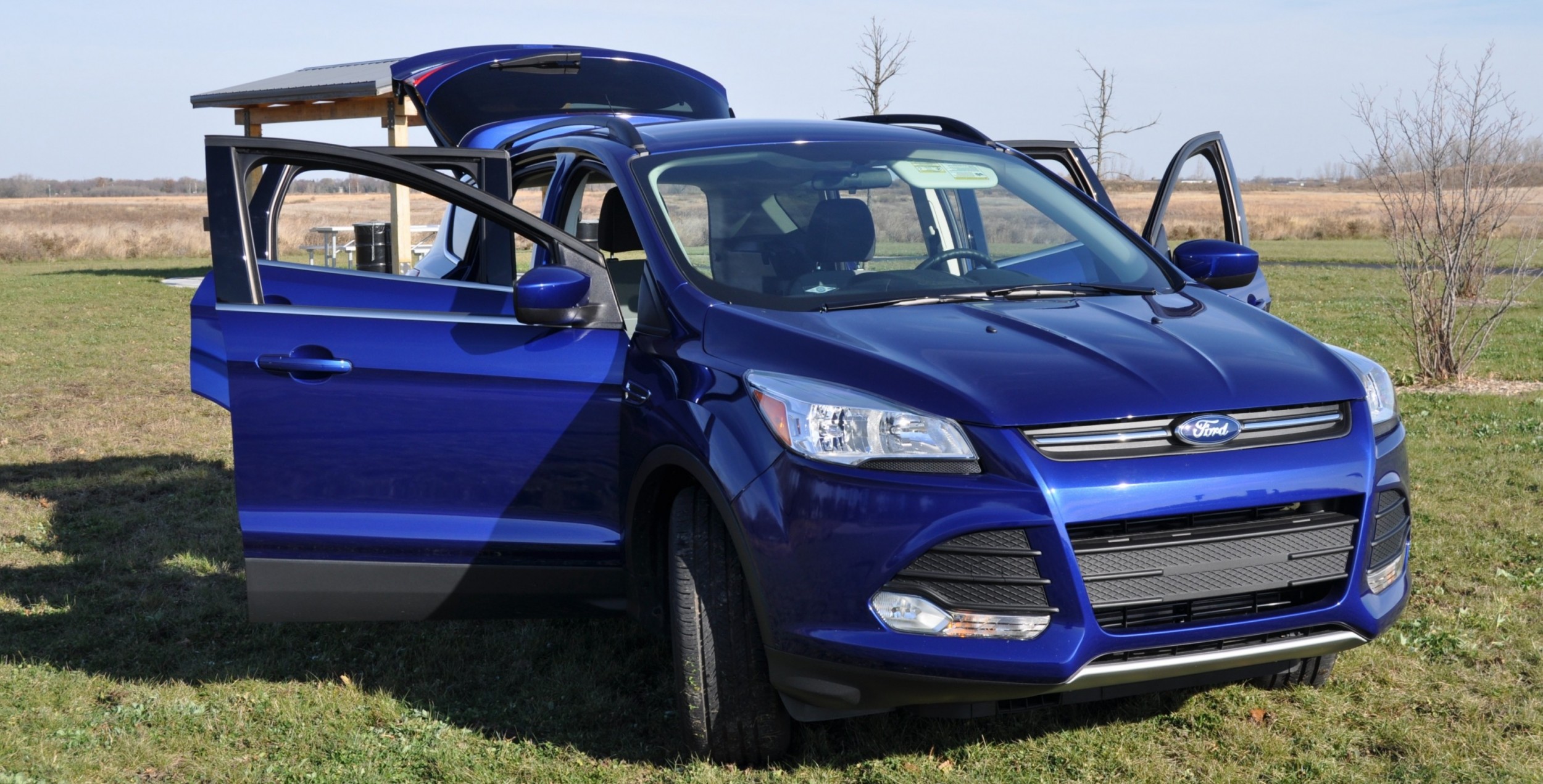 Ford Escape 2014 Blue