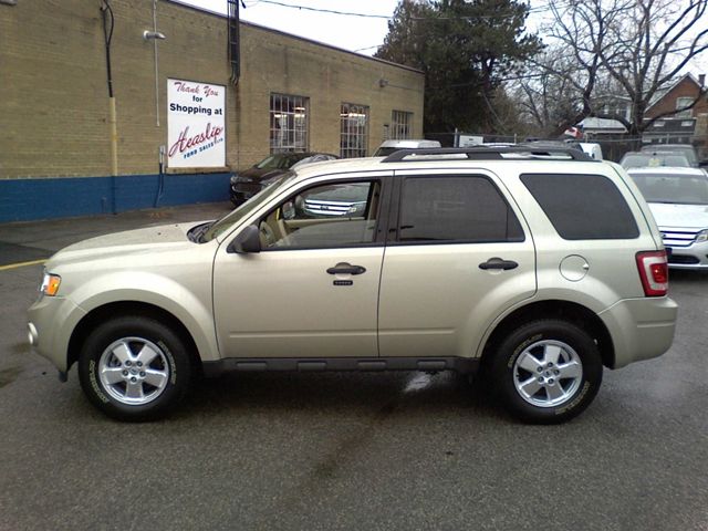 Ford Escape 4 Cylinder