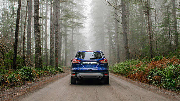 Ford Escape Blue Ford Escape Blue