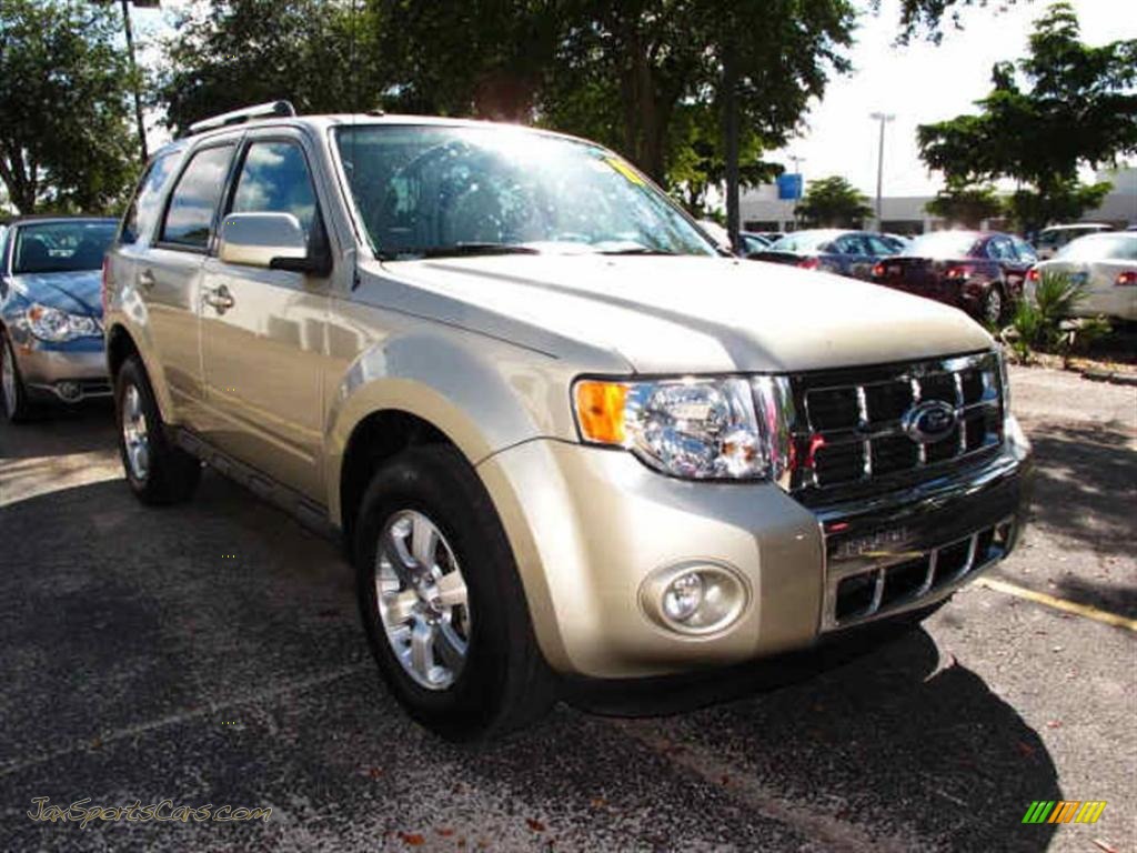 Ford Escape Gold