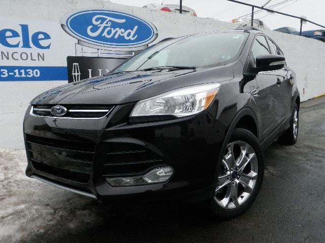 Ford Escape Kodiak Brown