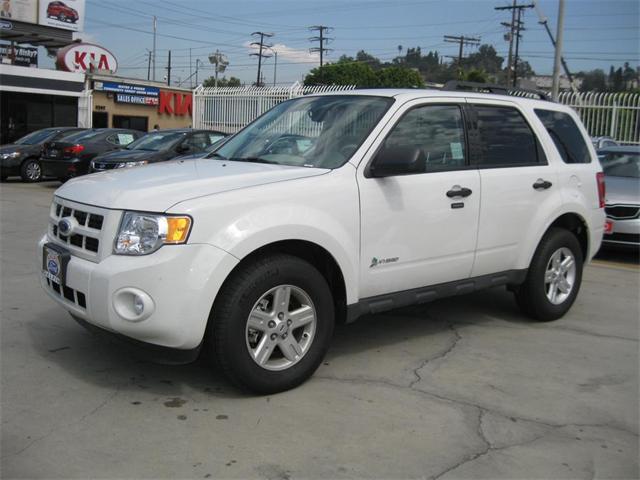 Ford Escape White