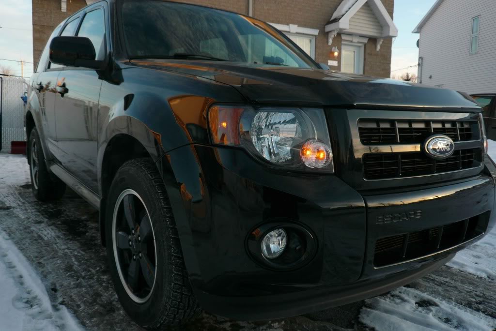 Ford Escape Xlt Sport