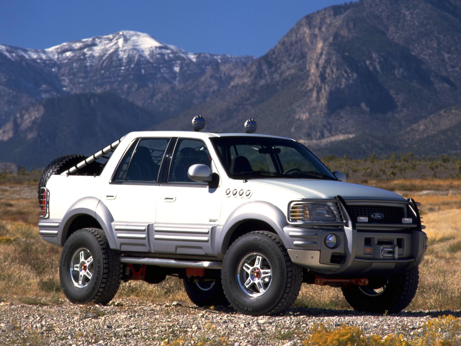 Ford Expedition Truck