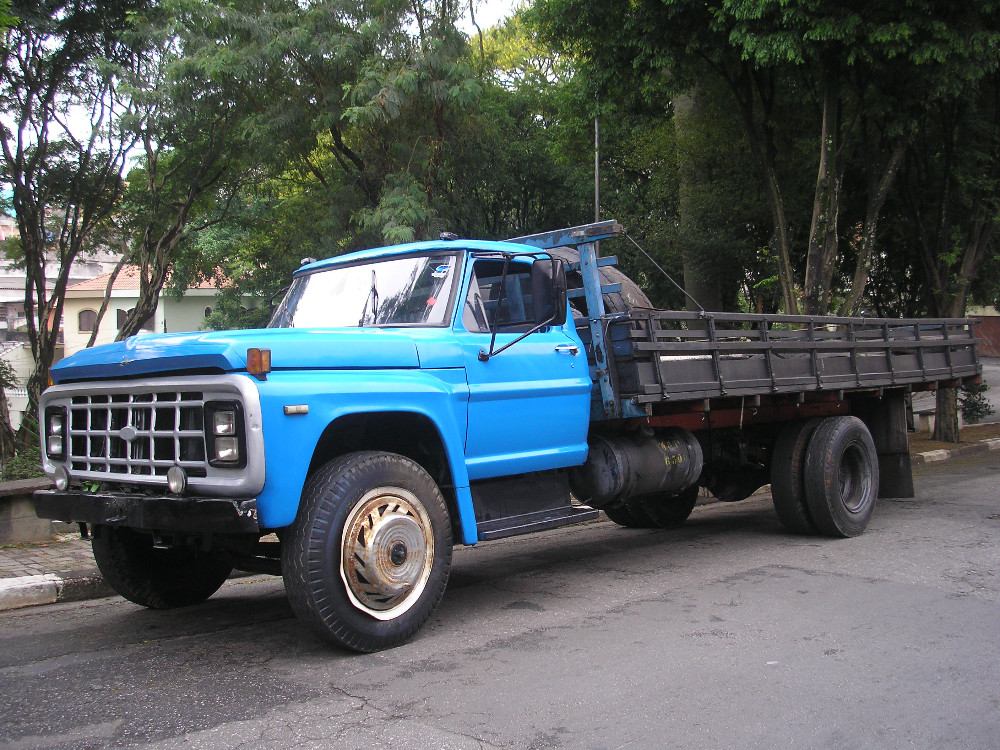 Ford F11000