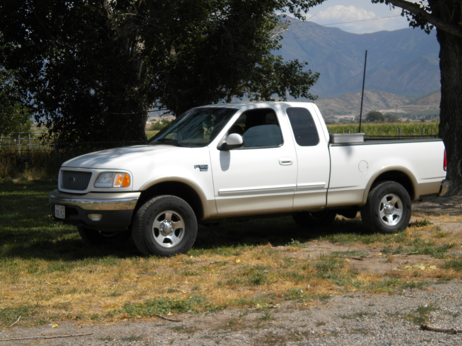 Ford F150 1999