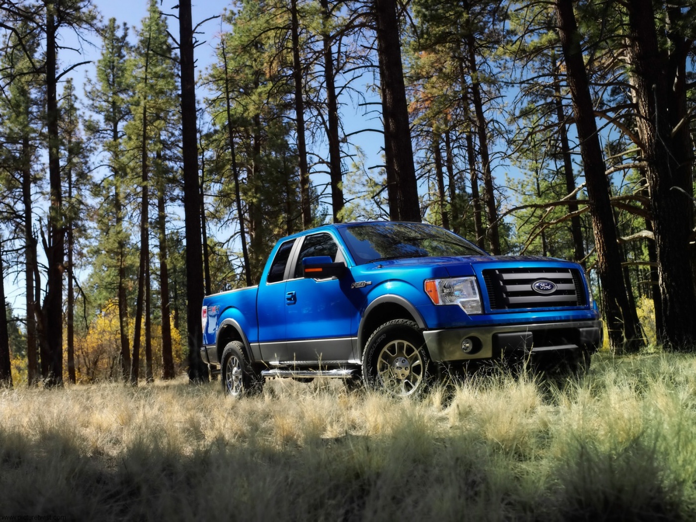 Ford F150 Blue