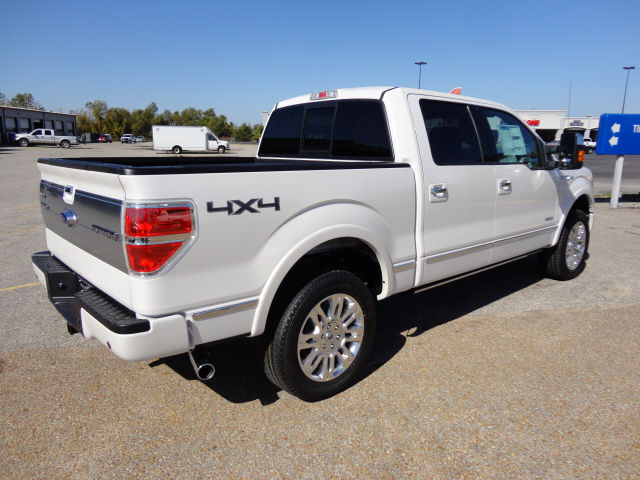 Ford F150 Platinum