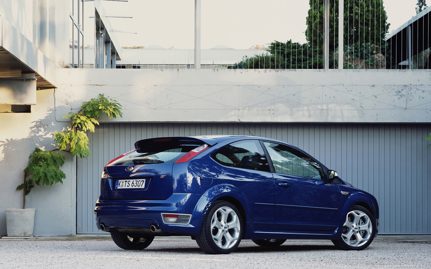 Ford Focus Blue