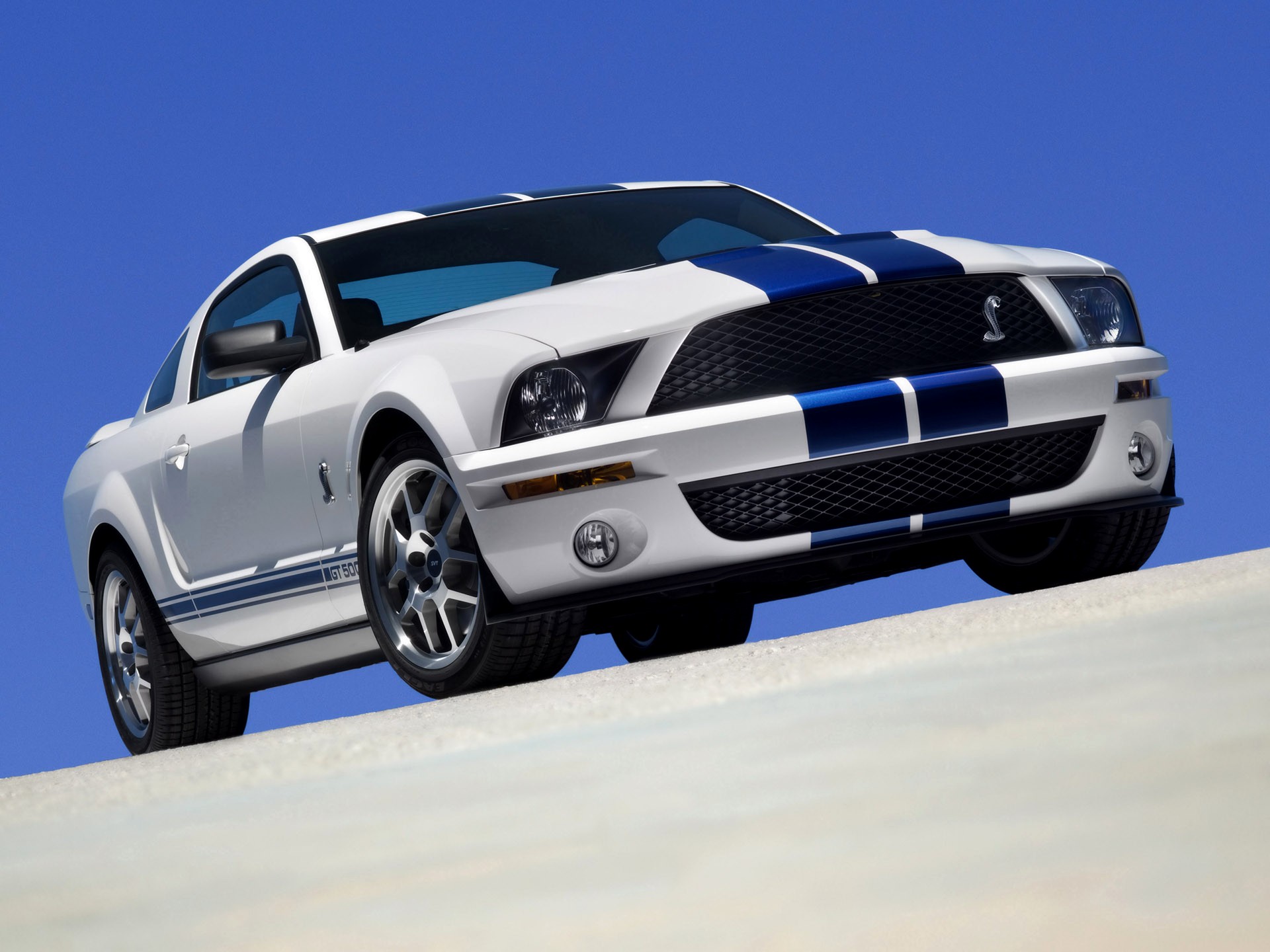 Ford GT Shelby Ford GT Shelby