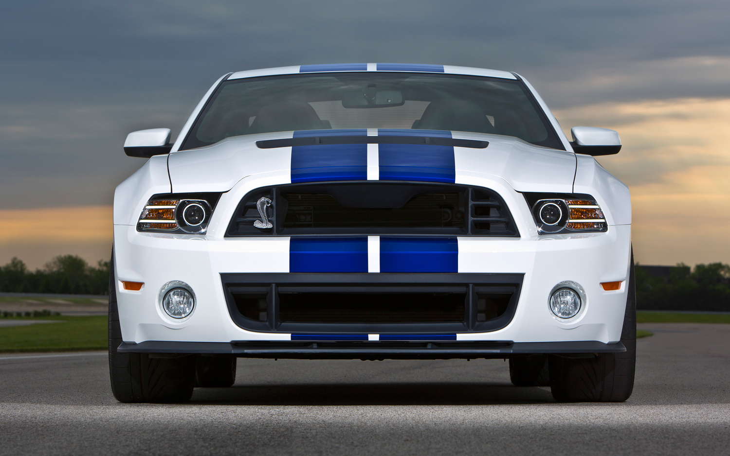 Ford Shelby GT 500