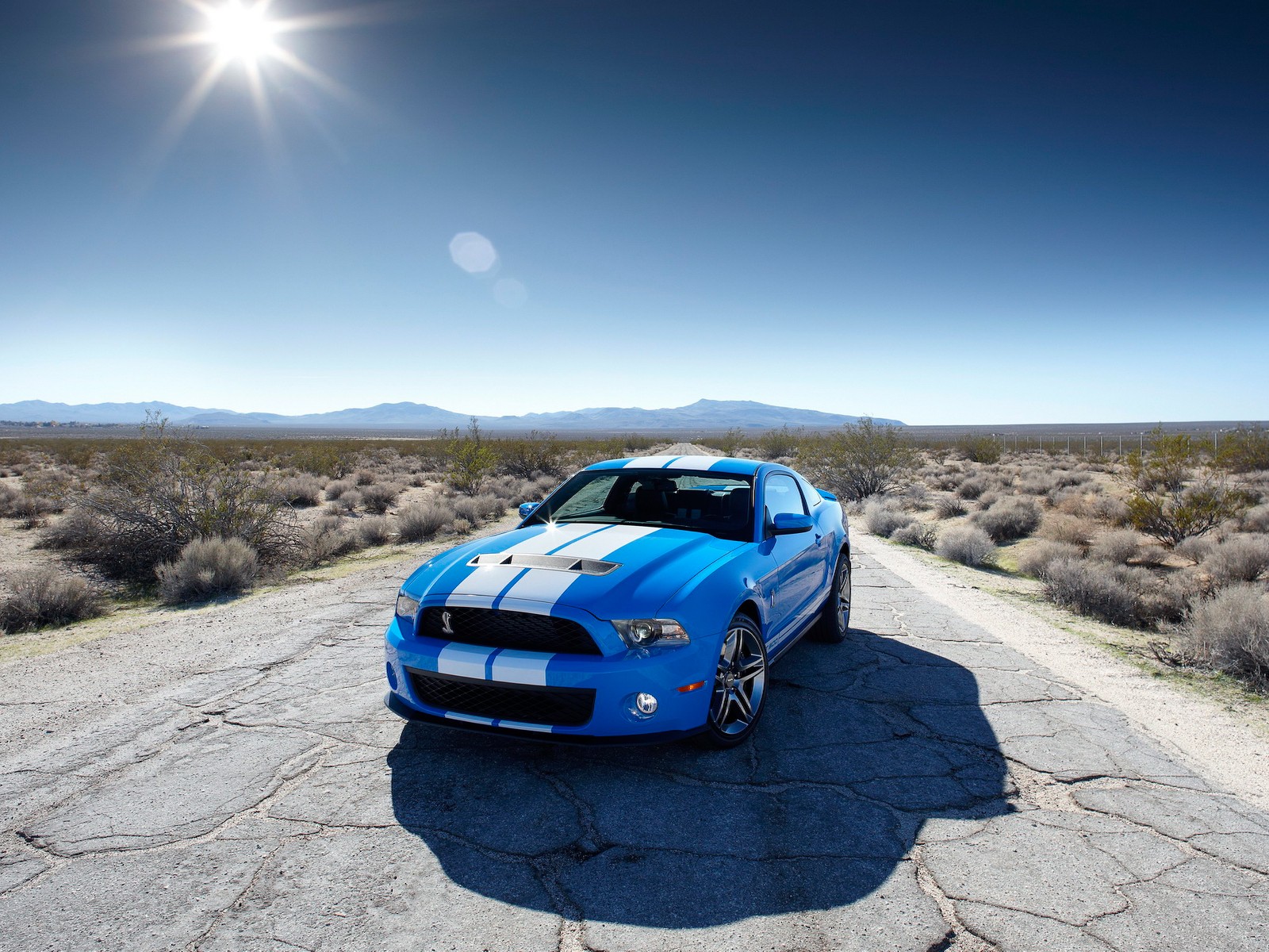 Ford Shelby GT 500