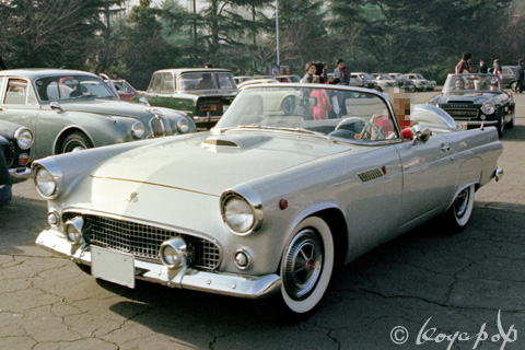 Ford T Bird 1955