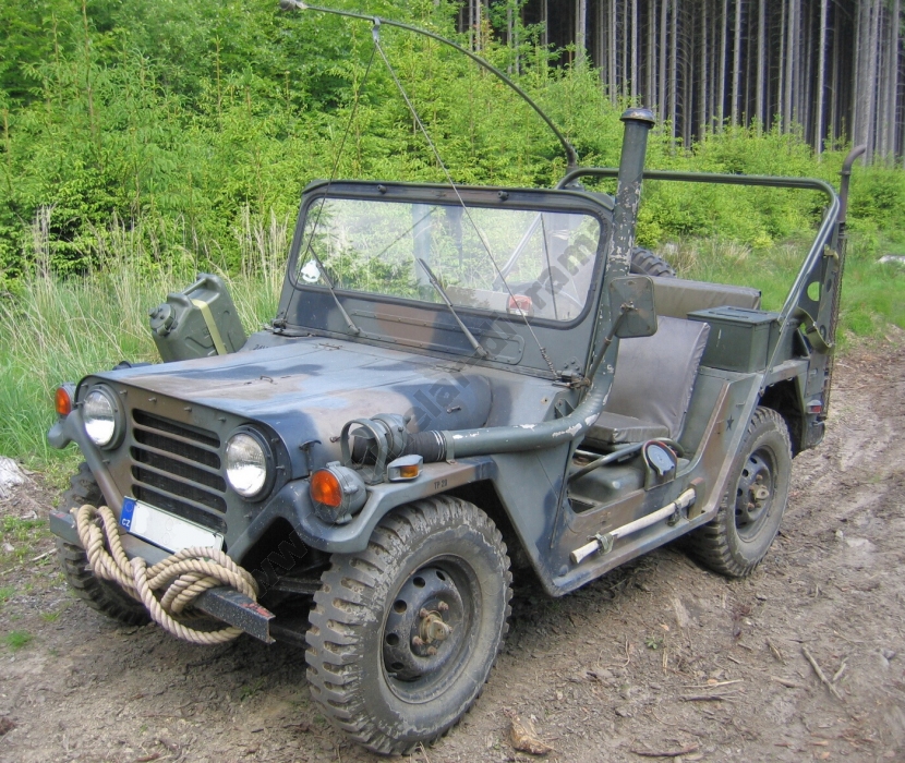 Ford Mutt Ford Mutt