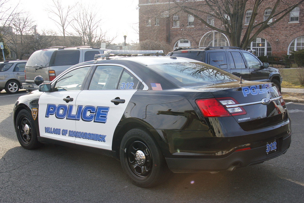 Ford Police
