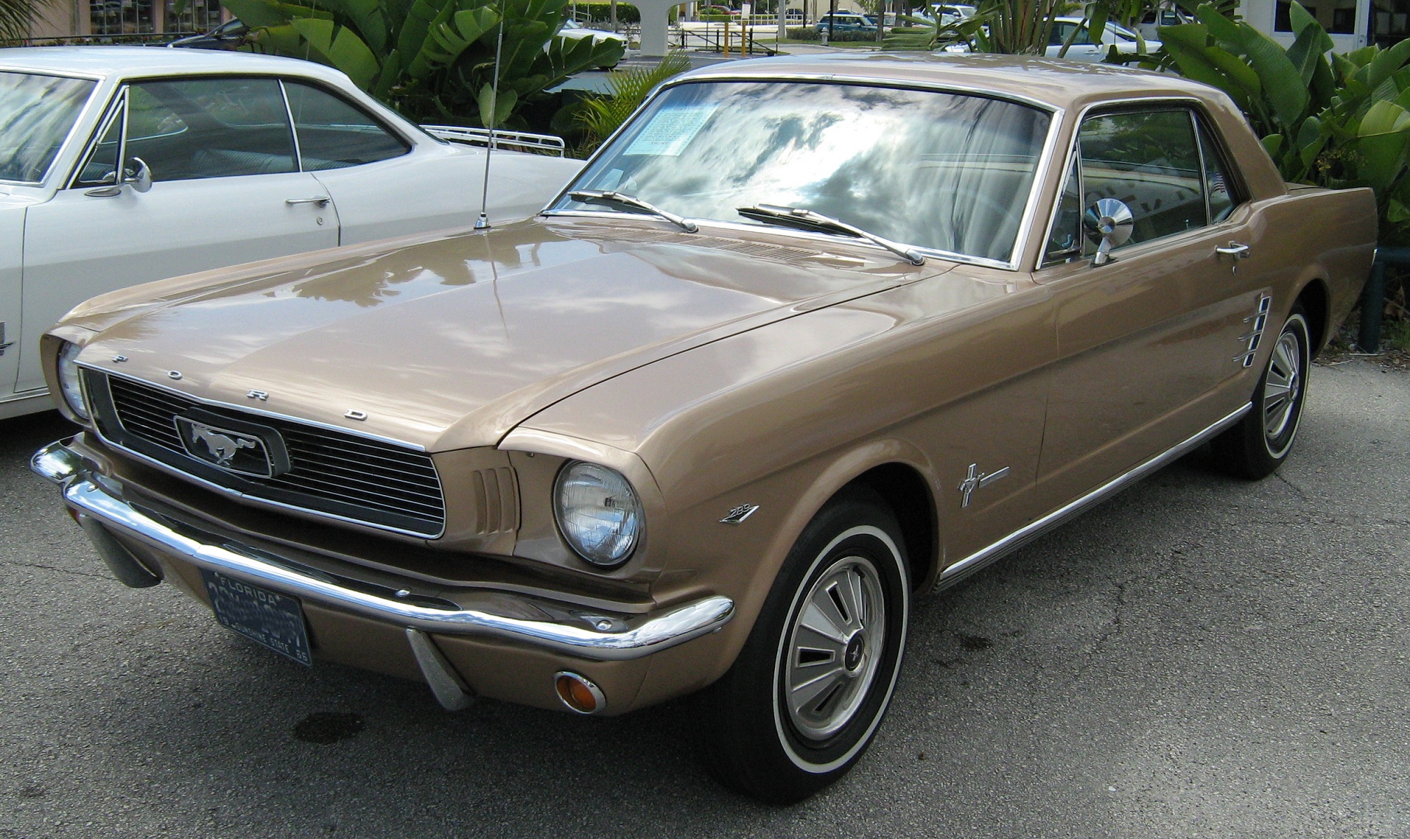 Ford T5