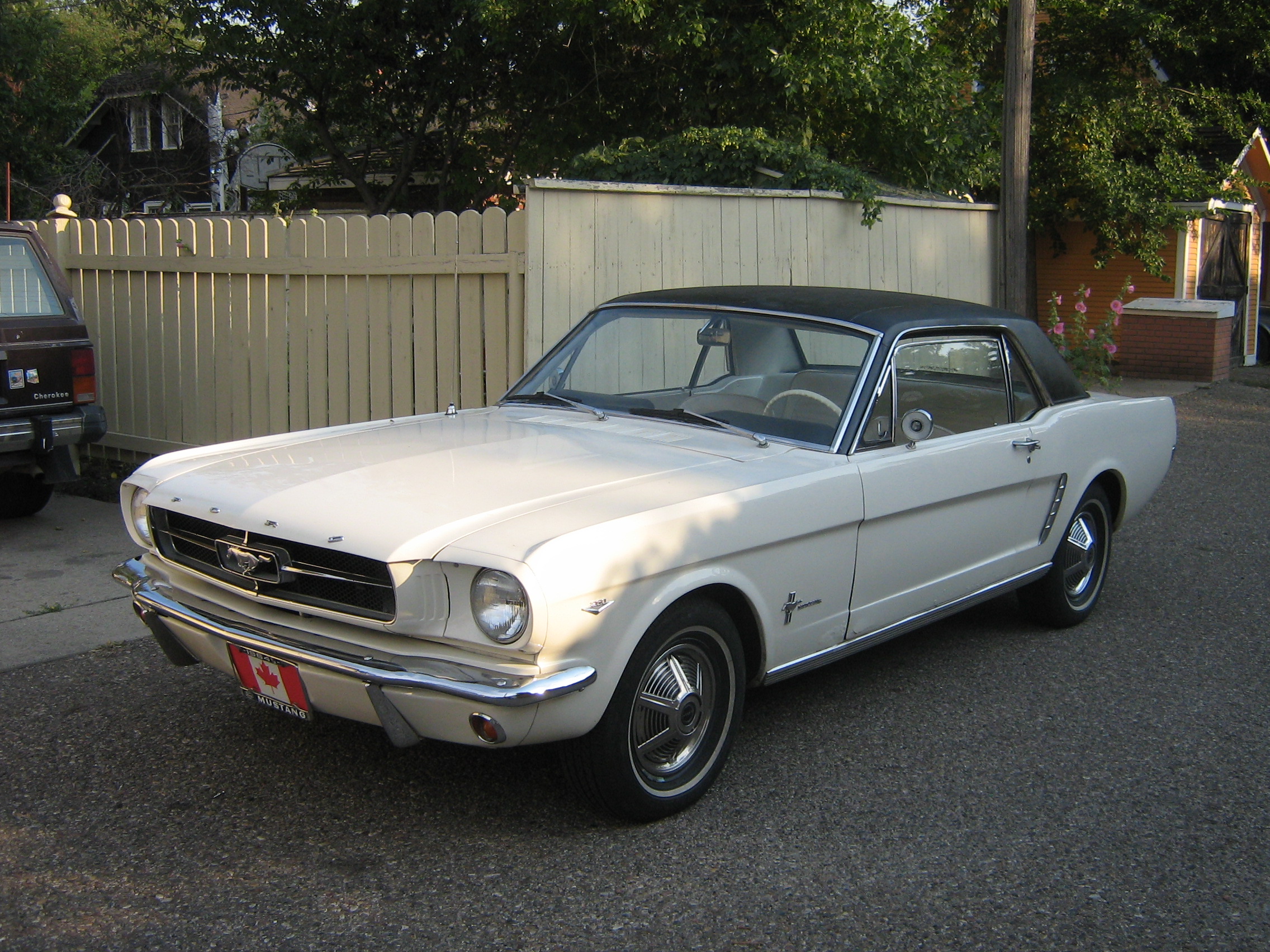 Ford T5