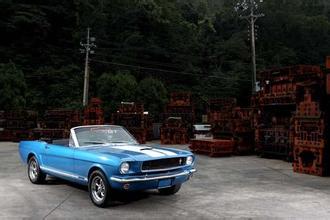 Ford Mustang 2