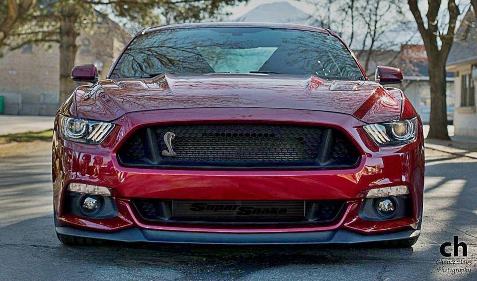 Ford Mustang 2015 Shelby