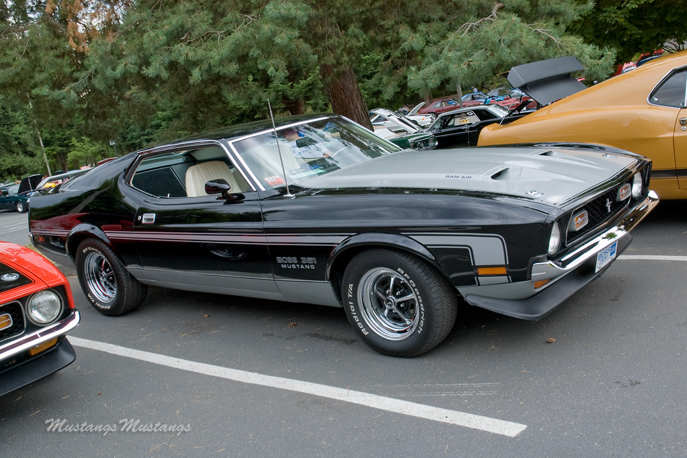 Ford Mustang Boss 351