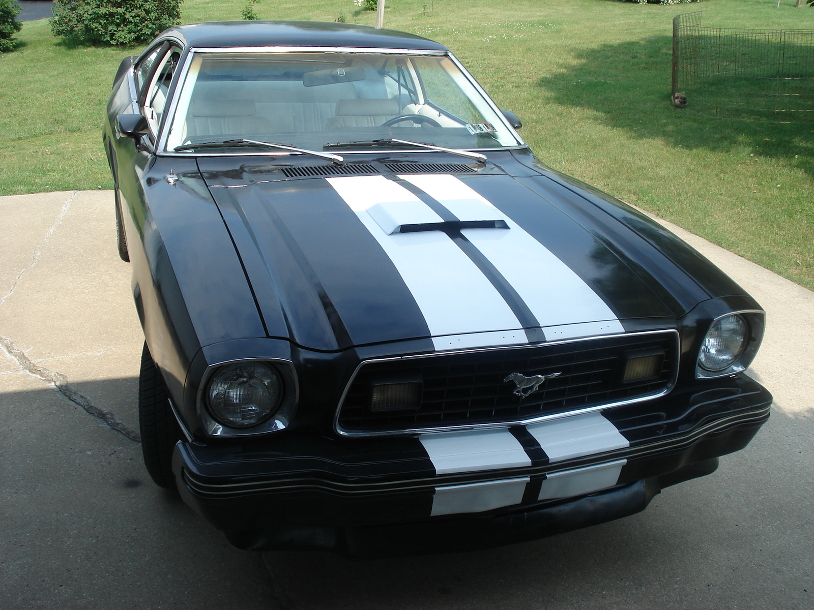 Ford Mustang Cobra Ii Ford Mustang Cobra Ii