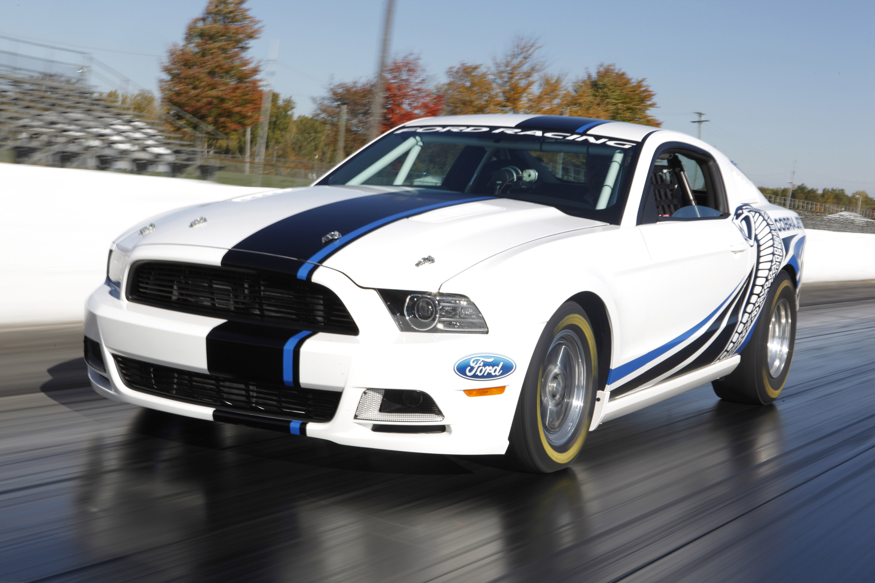 Ford Mustang Cobra