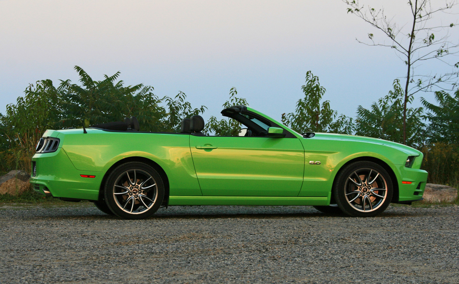 Ford Mustang Convertible 2014
