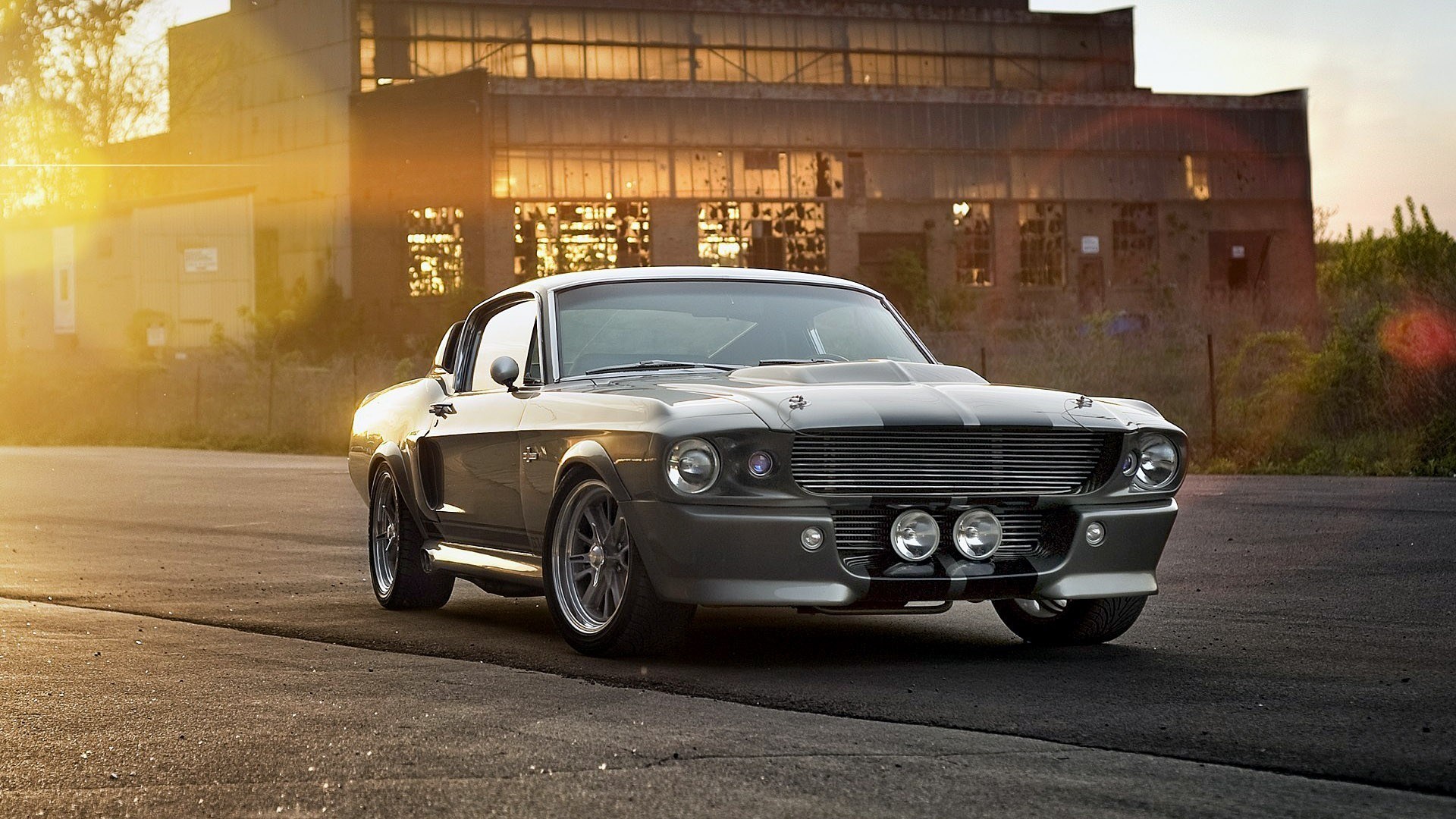 Ford Mustang Eleanor