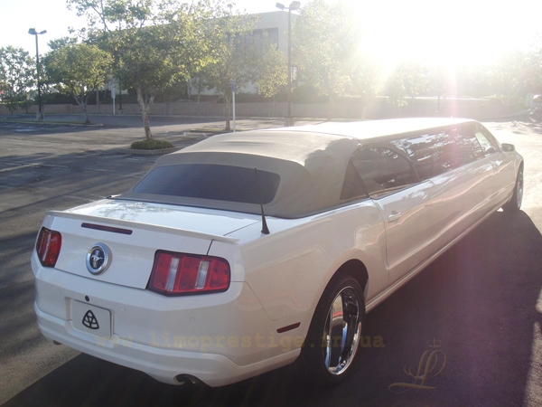 Ford Mustang Limousine