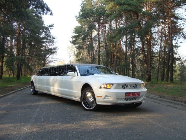 Ford Mustang Limousine