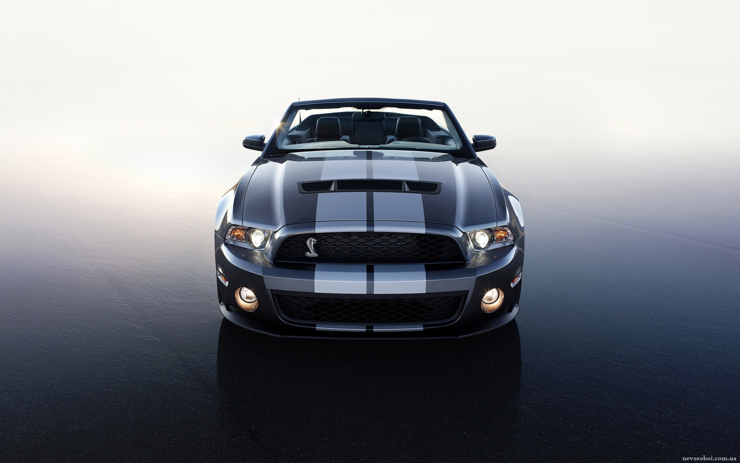 Ford Mustang Shelby GT 500
