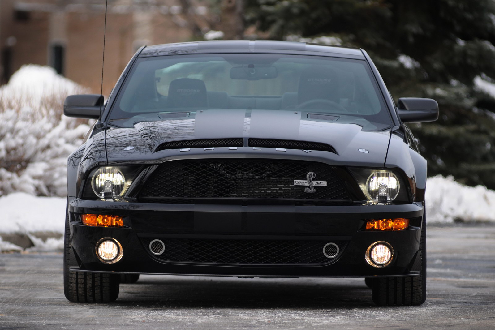 Ford Mustang Shelby GT500 Kr