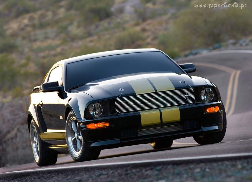 Ford Mustang Shelby GT500