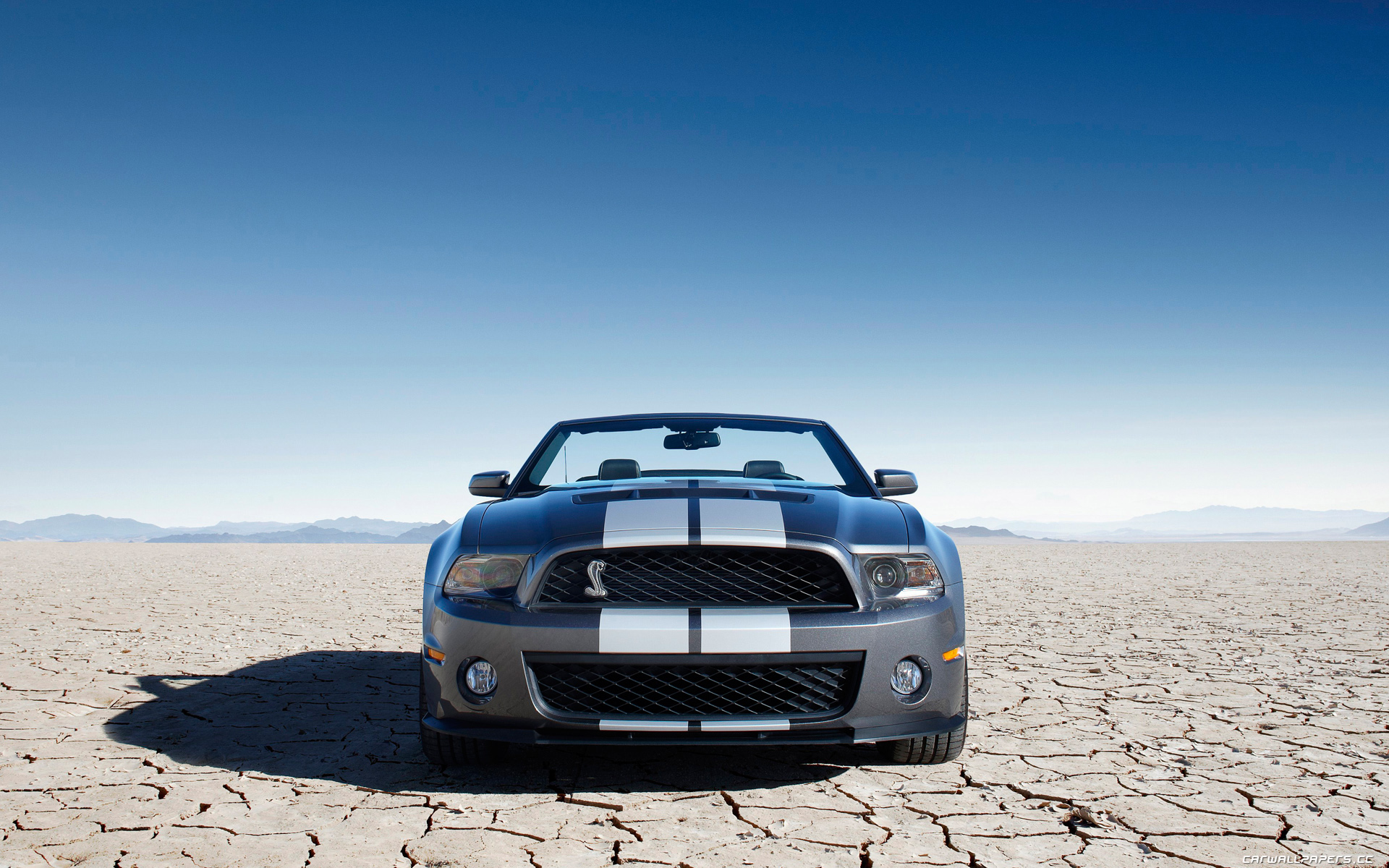 Ford Mustang Shelby
