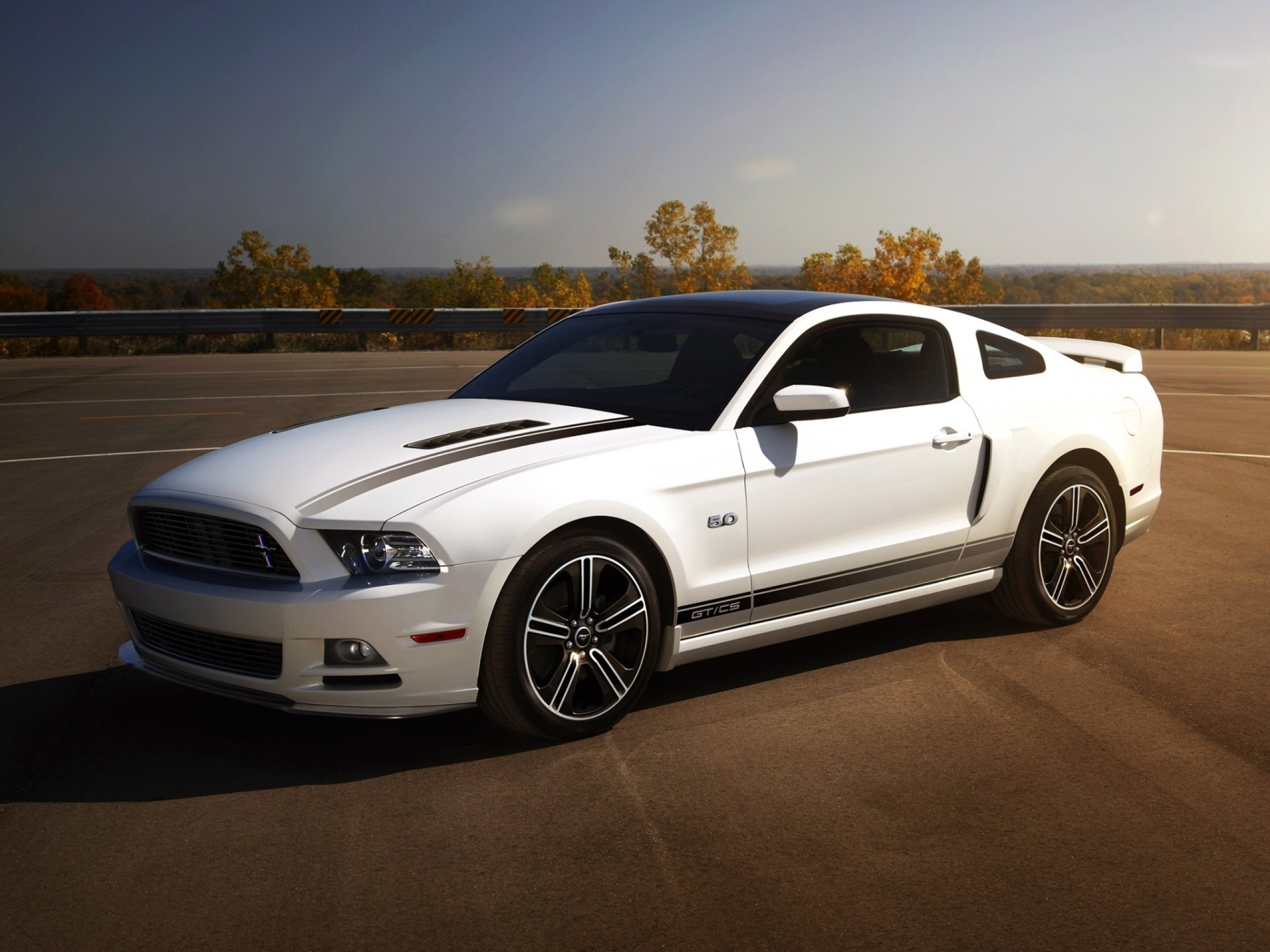 Ford Mustang Special