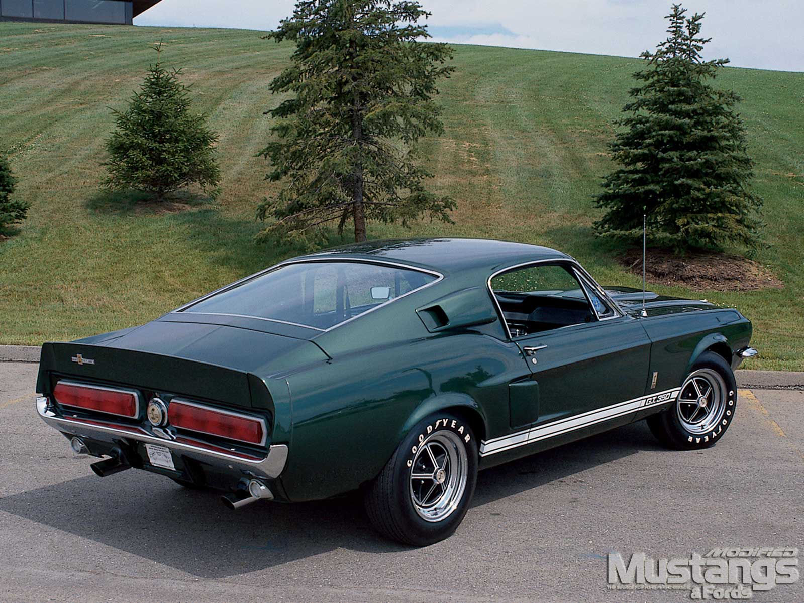 Ford Mustang Stallion Ford Mustang Stallion