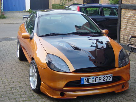 Ford Puma Custom