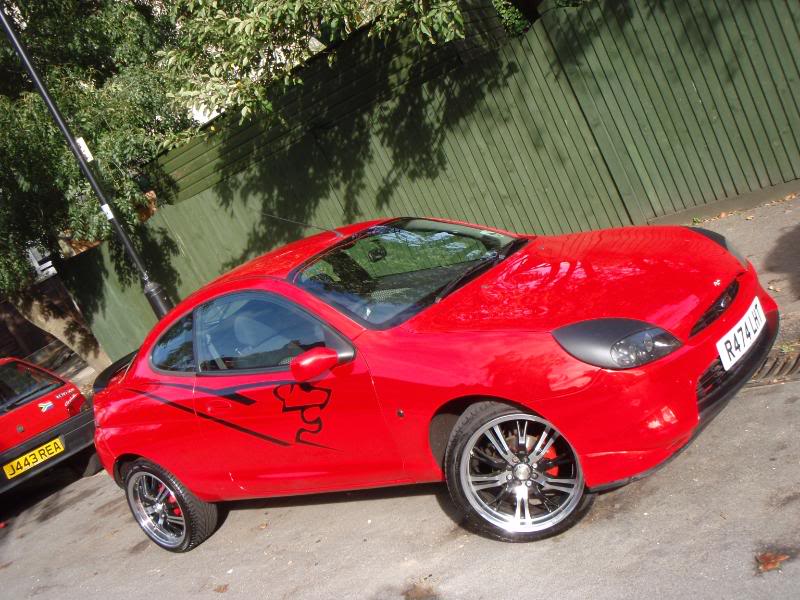 Ford Puma Modified