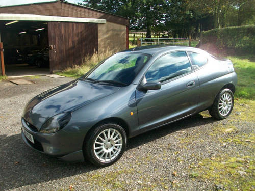 Ford Puma Thunder